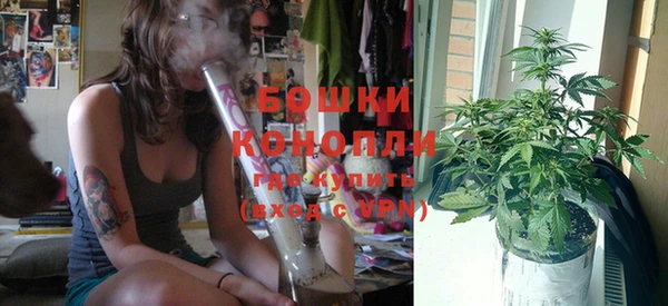 дживик Горняк
