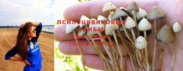 тгк Вяземский