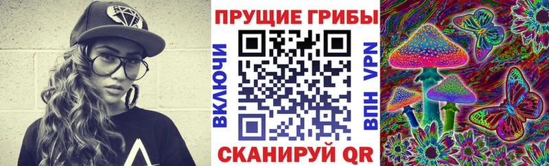 Купить  Великие Луки  Галлюциногенные грибы Magic Shrooms 